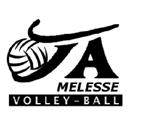 Logo JA Melesse Volley